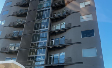 Oficinas en Renta: Punto Alpha