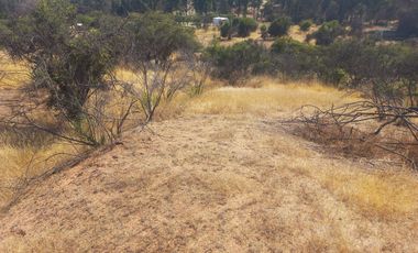 Villa Alemana, vende hermoso terreno rural semi plano 3.800 mts²