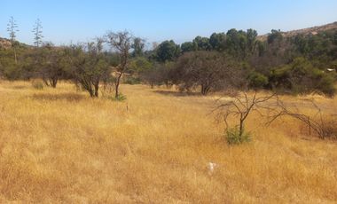 Villa Alemana, vende hermoso terreno rural semi plano 3.800 mts²