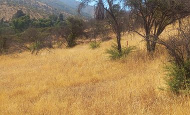 Villa Alemana, vende hermoso terreno rural semi plano 3.800 mts²