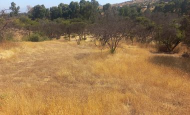 Villa Alemana, vende hermoso terreno rural semi plano 3.800 mts²