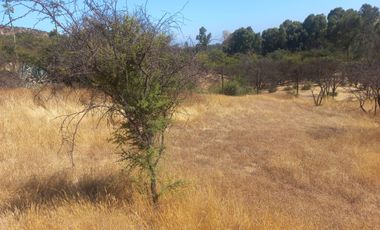 Villa Alemana, vende hermoso terreno rural semi plano 3.800 mts²