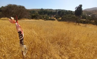Villa Alemana, vende hermoso terreno rural semi plano 3.800 mts²