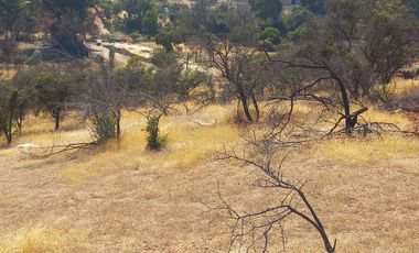 Villa Alemana, vende hermoso terreno rural semi plano 3.800 mts²