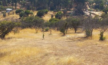 Villa Alemana, vende hermoso terreno rural semi plano 3.800 mts²