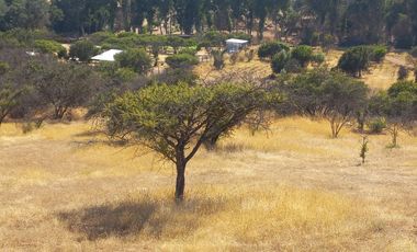 Villa Alemana, vende hermoso terreno rural semi plano 3.800 mts²