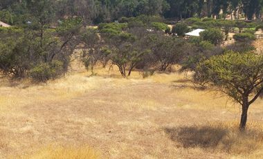 Villa Alemana, vende hermoso terreno rural semi plano 3.800 mts²