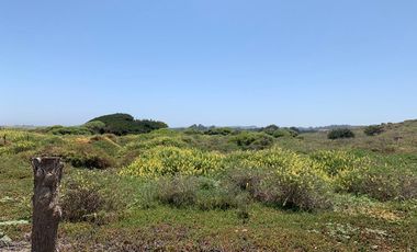 SE VENDE PARCELA EN CAHUIL, PICHILEMU