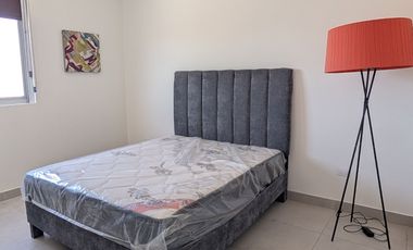 DEPARTAMENTO AMUEBLADO EN RENTA CENTRO DE MONTERREY TORRE ARENA CALZADA
