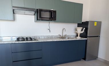 DEPARTAMENTO AMUEBLADO EN RENTA CENTRO DE MONTERREY TORRE ARENA CALZADA