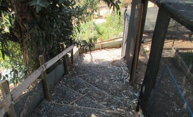 PARCELA CON JARDÍN FORMADO Y CASA CON FINAS TERMINACIONES