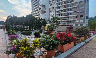 alquilo amoblado Cañaveral