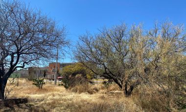Terreno en Venta en Guadalupe, Zac. En Cieneguitas