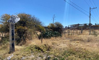 Terreno en Venta en Guadalupe, Zac. En Cieneguitas