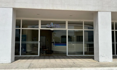 Alquiler Departamento Playas de Villamil - Ocean Club