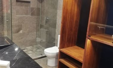 Departamento En Renta en Torre Lumiere