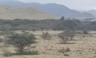 Venta De Terreno Agricola De 29 Has En Vilcahuaura - Huaura