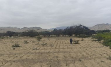 Venta De Terreno Agricola De 29 Has En Vilcahuaura - Huaura