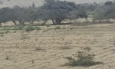 Venta De Terreno Agricola De 29 Has En Vilcahuaura - Huaura