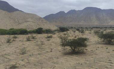 Venta De Terreno Agricola De 29 Has En Vilcahuaura - Huaura