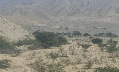 Venta De Terreno Agricola De 29 Has En Vilcahuaura - Huaura