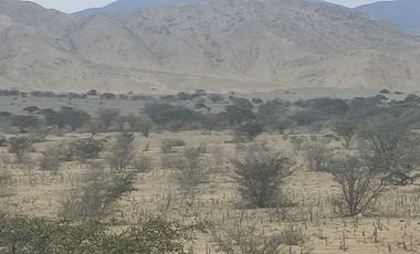 Venta De Terreno Agricola De 29 Has En Vilcahuaura - Huaura