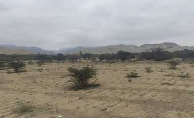 Venta De Terreno Agricola De 29 Has En Vilcahuaura - Huaura