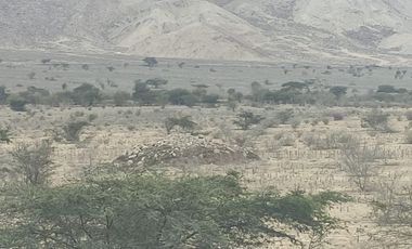 Venta De Terreno Agricola De 29 Has En Vilcahuaura - Huaura