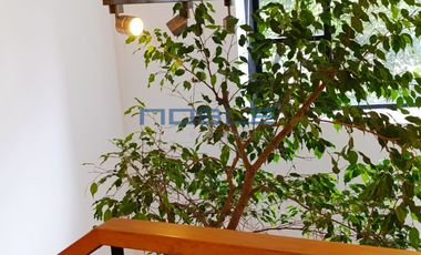 Departamento en Venta Ávila Camacho