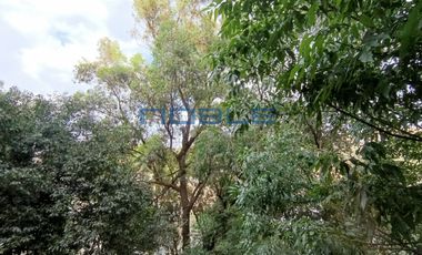 Departamento en Venta Ávila Camacho