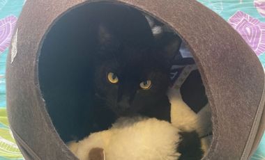 VENDO DEPARTAMENTO DE 151m, Amagasi del Inca