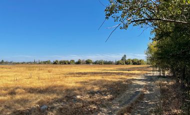 Se vende parcela de 5.000m2 en KM1,3 de Camino a Los Niches, Curicó
