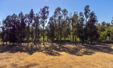 Se vende parcela de 5.000m2 en KM1,3 de Camino a Los Niches, Curicó
