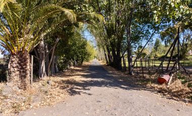 Se vende parcela de 5.000m2 en KM1,3 de Camino a Los Niches, Curicó