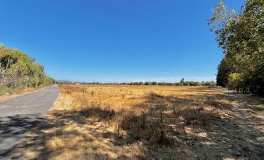 Se vende parcela de 5.000m2 en KM1,3 de Camino a Los Niches, Curicó