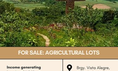 FOR SALE Agricultural Lots located at Brgy. Vista Alegre, Bacolod, Negros Occidental
