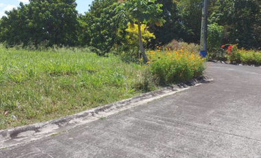 220 sqm Prime Lot for Sale in Parkplace Village – Beside S&R Imus