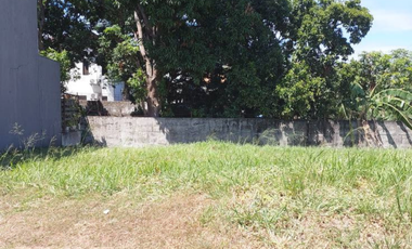 220 sqm Prime Lot for Sale in Parkplace Village – Beside S&R Imus
