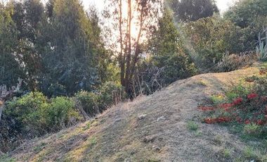 Reñaca, El Encanto, Terreno 600 M2, Panorámica Vista al Mar