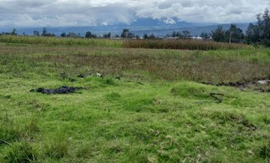 Venta - Terreno - Ascazubi - El Quinche - Quito