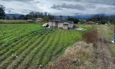 Venta - Terreno - Ascazubi - El Quinche - Quito