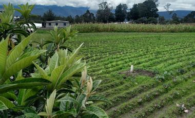 Venta - Terreno - Ascazubi - El Quinche - Quito