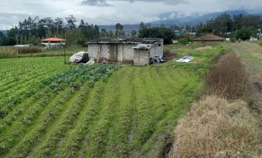 Venta - Terreno - Ascazubi - El Quinche - Quito