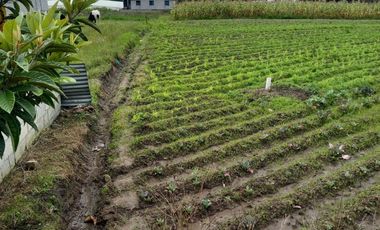 Venta - Terreno - Ascazubi - El Quinche - Quito