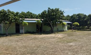 Finca Inversion