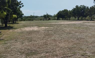 Finca Inversion