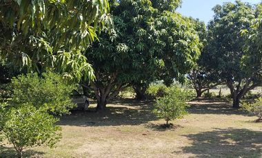 Finca Inversion