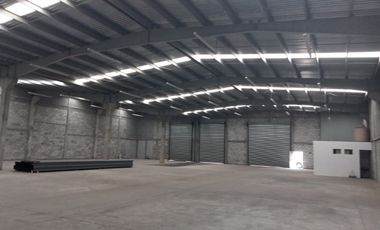 BODEGA 1350M2