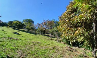 Venta hermoso Lote, vereda La Veta, Copacabana, Antioquia.