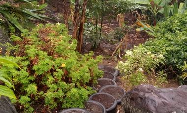 Venta hermosa Casa Finca, Sabaneta Copacabana, Antioquia.
